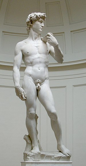 English: Michelangelo's David (original statue...