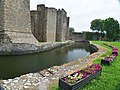 Smederevo Fortress