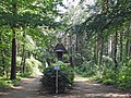 Sachgesamtheit Waldfriedhof Gohrisch mit Einzeldenkmal: Friedhofskapelle