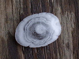 Large hailstone with concentric rings Hagelkorn mit Anlagerungsschichten.jpg