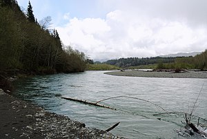 Hoh river in spring.jpg