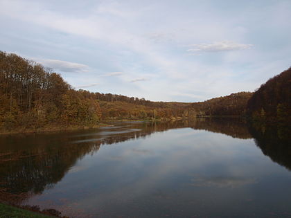Jezero Petnja u Slavonskom Brodu