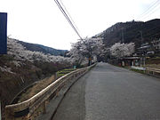 秋山川と山梨県道35号