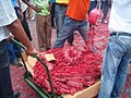 Image 51Pagara (red firecracker ribbons) (from Suriname)
