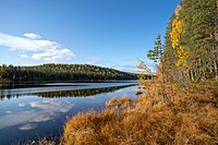 Långtjärnen vid Killingkullens södra sida.