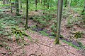 Schwarzbachtal (PB)