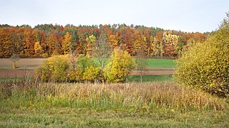 Partie aus dem Unteren Weißbachtal.