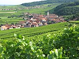 Nothalten et Blienschwiller au cœur du vignoble