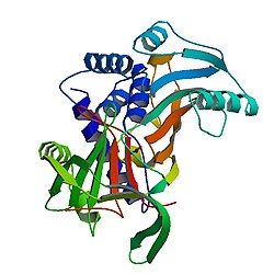 PBB Protein SERPINA3 image.jpg