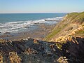 From the cliff top looking north