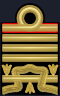 60px-Rank_insignia_of_ammiraglio_di_squa