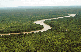 Nationaal park Niokolo Koba