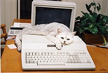 A cat resting on a Tandy 1000 EX computer Sabu with his Tandy 1000 Computer.jpg