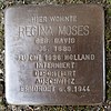 Stolperstein für Regina Moses geb. David