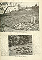 [Top] Confederate Dead at the Rose Farm near the Rose Woods[12][Bottom]Confederate Dead at the Rose Woods[13]