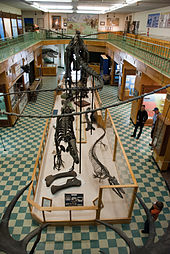 The University of Wyoming Geological Museum University of Wyoming Geological Museum 1.jpg