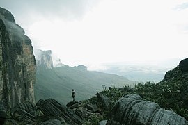 Cima del Monte Roraima.