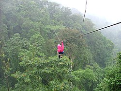 Canopy Zipline