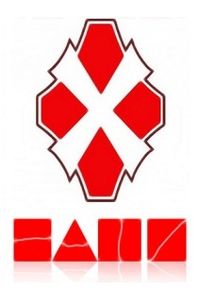 Логотип Движения НАШИ.jpg