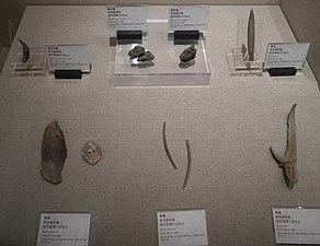 骨器 角器 碳化稻 粟，藏於大理州博物館