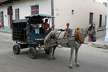 Metal horse-drawn vehicle harnessed to a gray horse and consisting of a cage with a pig inside.