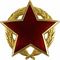 Red partizanske zvezde z zlatim vencem