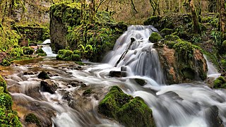 Cascade du moulin amont sur le ruisseau de Norvaux.