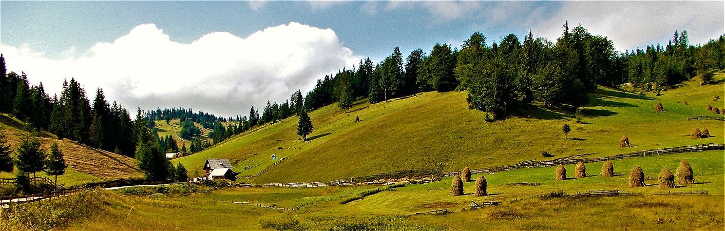 Imagine din zona platoului Padiș, areal inclus în Parcul Natural Apuseni