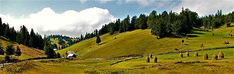 Munții Apuseni la Gârda de Sus (Călineasa), vedere panoramică