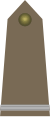 Army-POL-OR-02.svg