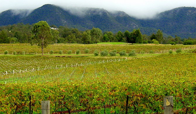 Vineyards in the Australian wine region of the...