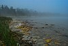 Baileys Harbor Boreal Forest and Wetlands.jpg