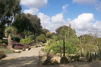 Desert Cactus Garden, Balboa Park