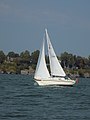 Bayfield 25