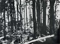 Bombardeio da artilharia americana contra a Montanha 260 em 19 de março de 1944.