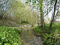 Furt durch das Flüsschen Trie bei Bouillancourt, nahe Moyenneville