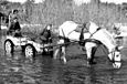 Pferd mit zwei Soldaten beim Trinken im Fluss;