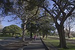 Centennial Park NSW 2021, Australia - panoramio (1).jpg