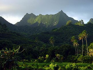 Te Manga, Osicht vo da Sidgstod vo Rarotonga