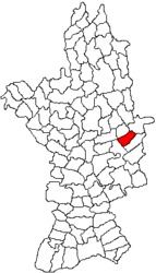 Location in Olt County