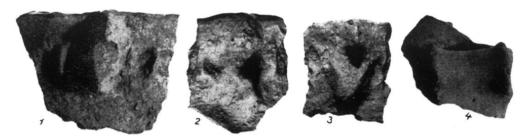 Fragmente ceramice din stratul de cultură Glina III-Schneckenberg.