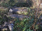 Dolmen du Bois de la Grosse Pierre