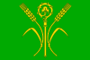 Flag of Dušníky