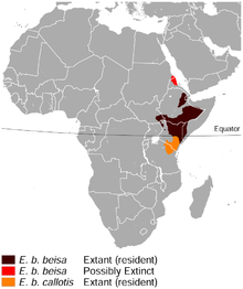 Východní africký oryx Oryx beisa distribuční mapa.png