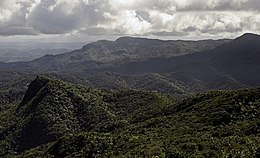 El Toro Wilderness within the El Yunque National Forest in Puerto Rico El Toro Wilderness.jpg