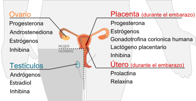 Estructura y clasificacion de los esteroides