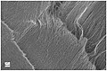 Többfalú szén nanocsövek CVD-vel létrehozott szőnyege