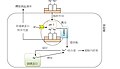 2008年11月14日 (五) 07:52版本的缩略图