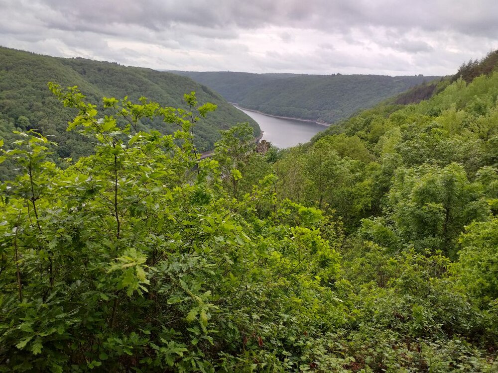 Haute Dordogne.