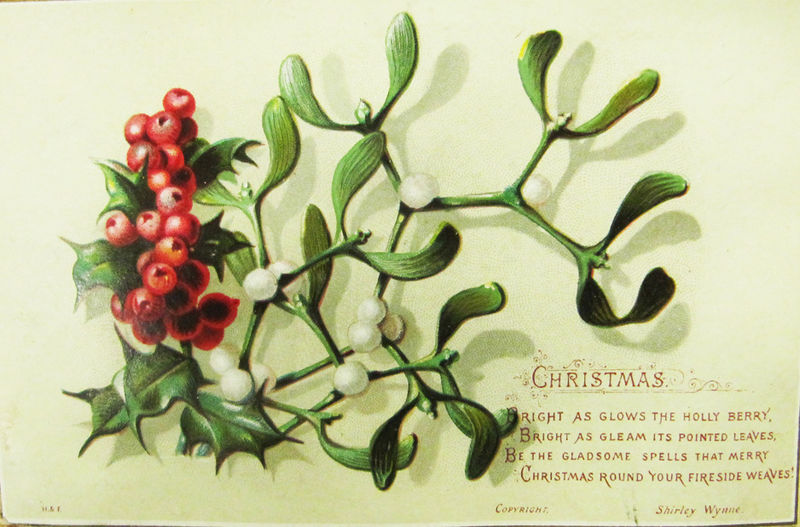 File:Holly Christmas card from NLI.jpg